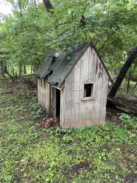 A sad hut with rotting walls, decaying asphalt shingles, and several holes in the structure. There is trash inside and old wood piled up behind.