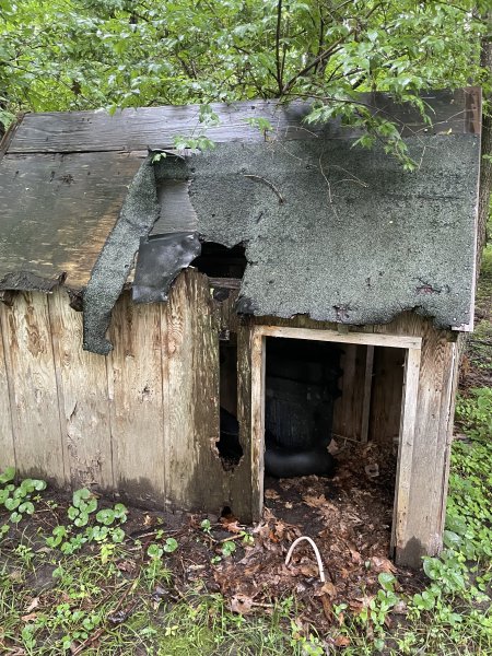 A sad hut with rotting walls, decaying asphalt shingles, and several holes in the structure. There is trash inside and old wood piled up behind.