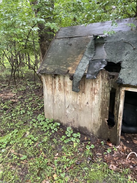 A frontal shot of the Murder Hut where you can better see the contents.